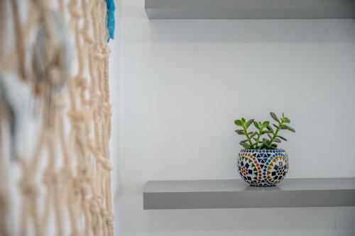 Casa Moss�n 27