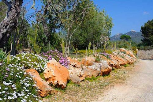 Finca Can Jordi