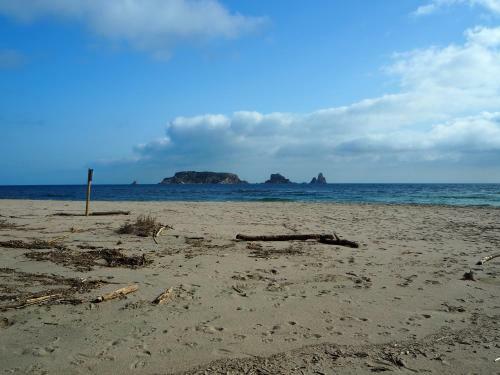 Apartamento C�ntrico Y Renovado, 100m de La Playa