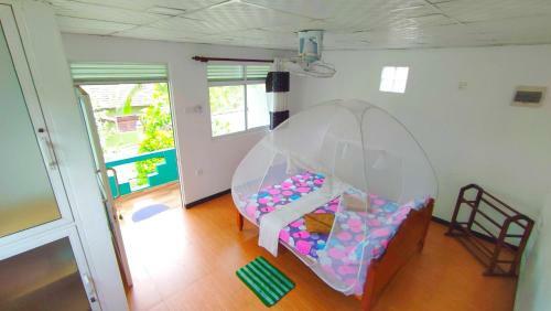 Hostal Villa Dragon House