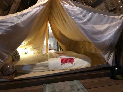 Hostal Mondulkiri Pizza Bungalows