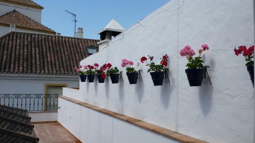 Hotel Boutique Casa Veracruz
