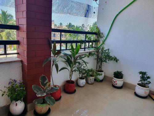 Stunning Cosy Apartment For 2 In Arpora Goa