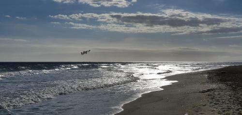 Apartamento Costalita Seaview
