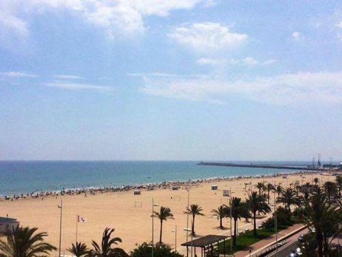 Estrella Del Mar