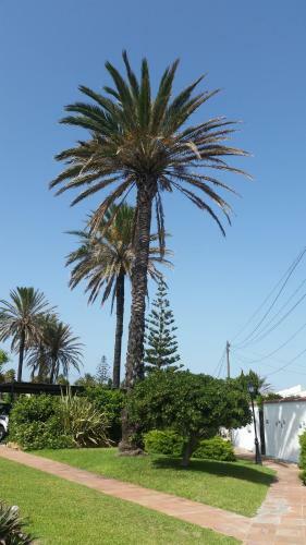 Beach-front Bahia Dorada