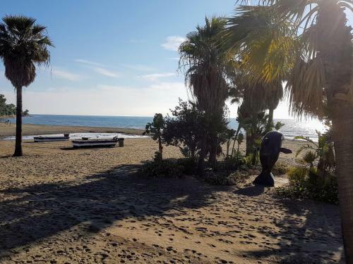 Apartamento C�ntrico Frente A La Playa.