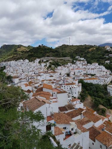 Apartamento Cortijo Del Mar, Garden Apt