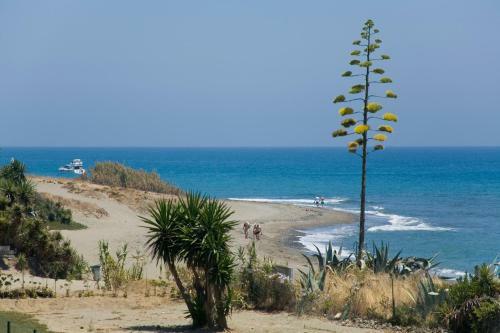 Apt 321 Heaven Beach Apartments Guadalmansa Playa