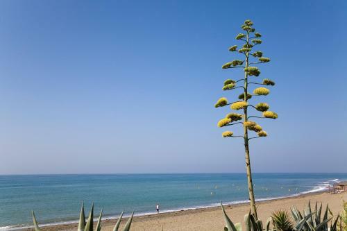 Apt 321 Heaven Beach Apartments Guadalmansa Playa