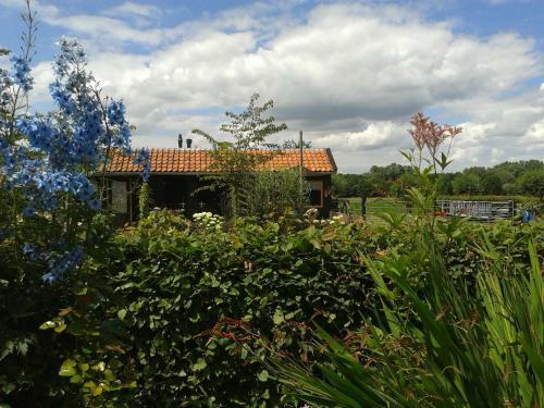 Bed And Breakfast Rodenberg