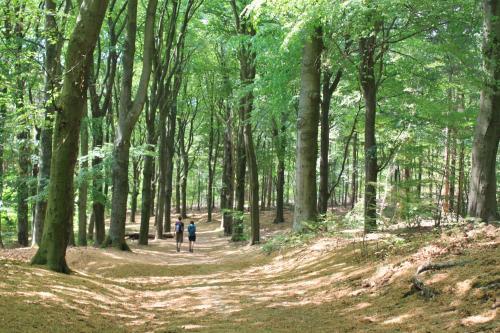 Hotel Bergse Bossen