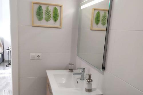 Apartamento Playa Escollera