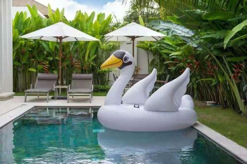 Villa Trichada Tropical