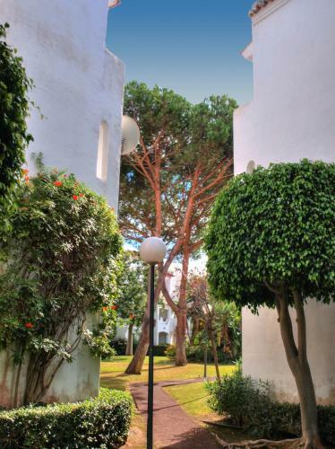 Sun Beach Apartment