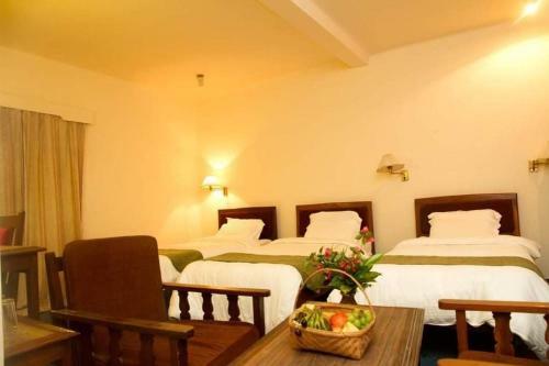 Hotel Meghauli Wildlife Resort