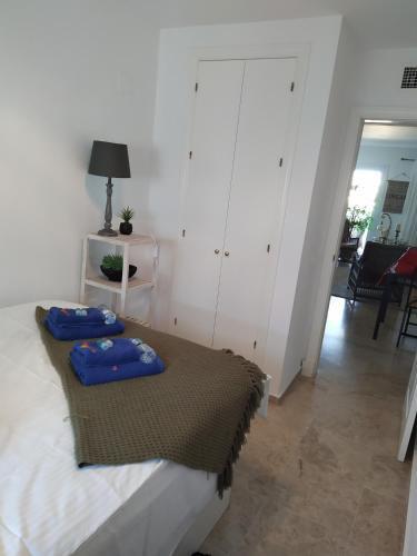 Apartamento Reina Sofia 45
