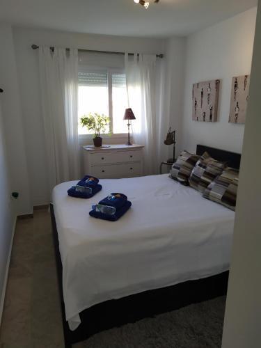 Apartamento Reina Sofia 45