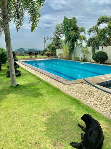 Miju Resort