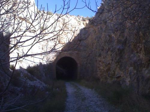 Cuevas Adonia