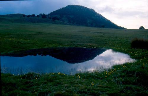 Cuevas Adonia