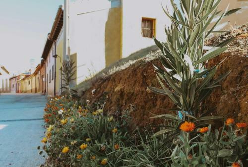 Agroturismo Casa Rural Aurea