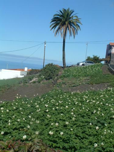 Agroturismo Casa Los Vi�edos A