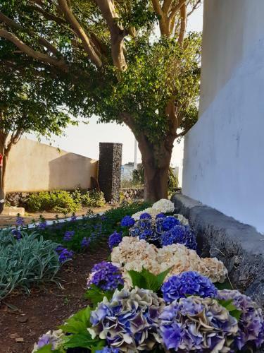 Casa Rural Los Dragos