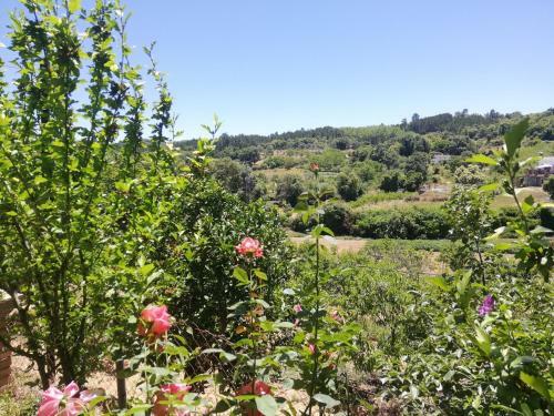 Finca El Palomar