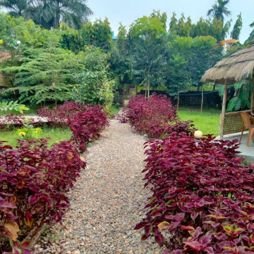 Hotel Tiger Tops Sauraha