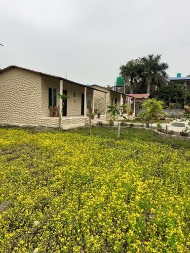 Hotel Tiger Tops Sauraha