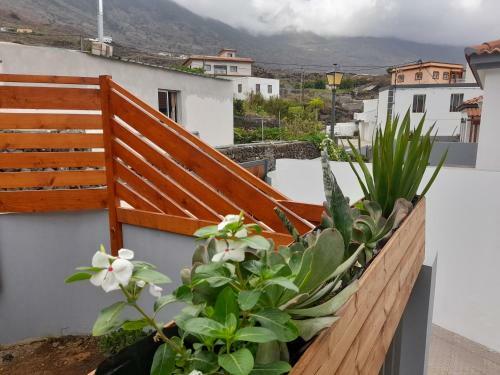 Apartamento Bimbache Home