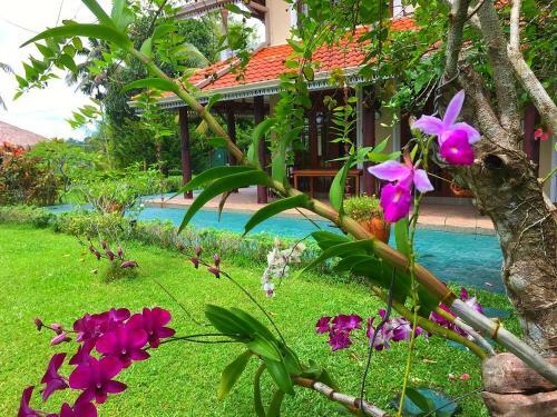 Mandalay Villa