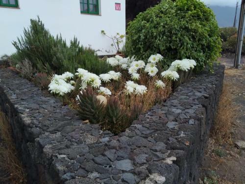 Vivienda Vacacional Casa Rosi