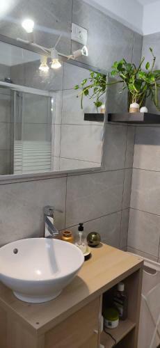 Apartamento Vergara J