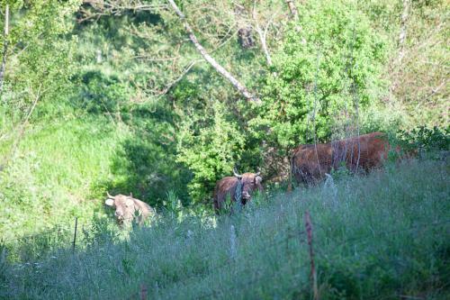 Agroturismo Casa Rural La Majada de Pe�acorada