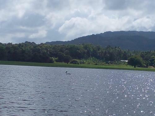 Lake Edge Dambulla