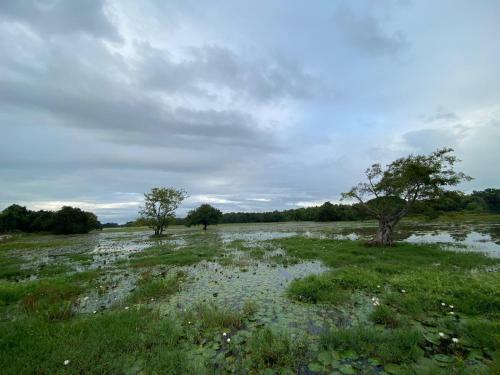 Lake Edge Dambulla