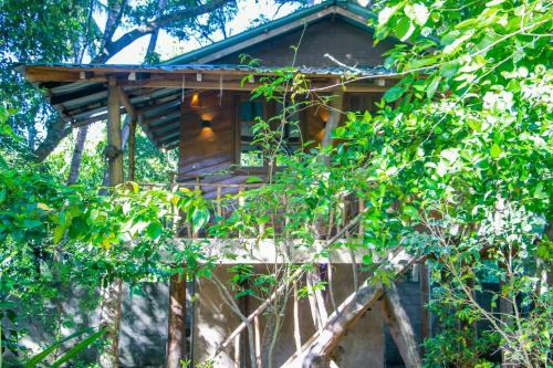 Hotel Dambulla Wilderness World