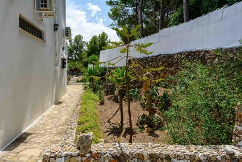 Villa Cortijo El Pe��n