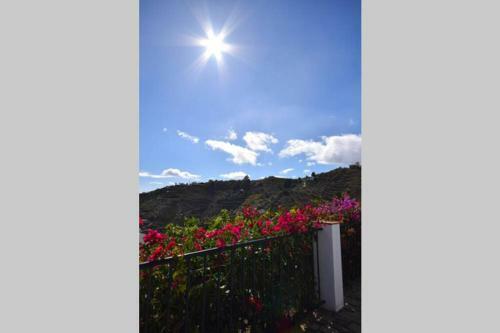 Apartamento El Quinto Pino, Frigiliana