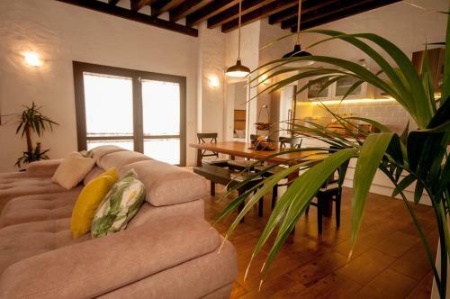 Finca Jard�n Del Norte