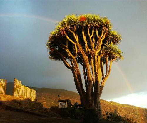 Casas Las Gemelas Viewpoint!