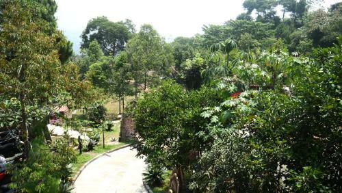 Villa Resort Tman Teman