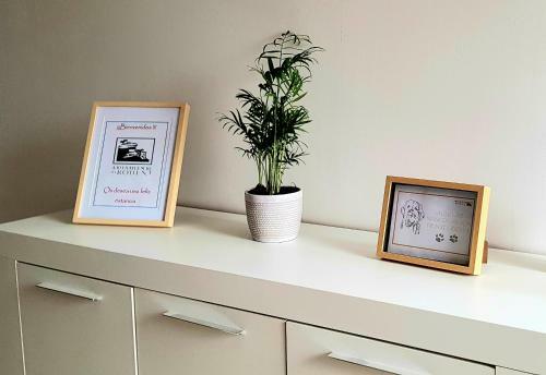 Apartamento Gea