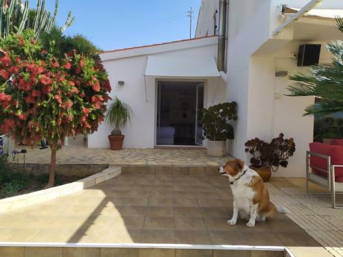 Hostal Berg & Zon