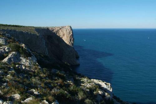 Rac� Del Moll�