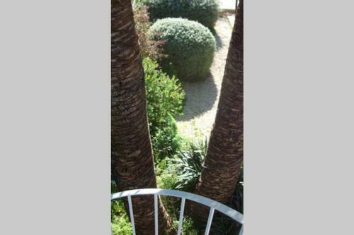 Rac� Del Moll�