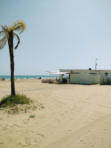 Apartamento Jardin II