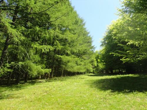 Agroturismo Etxaburu